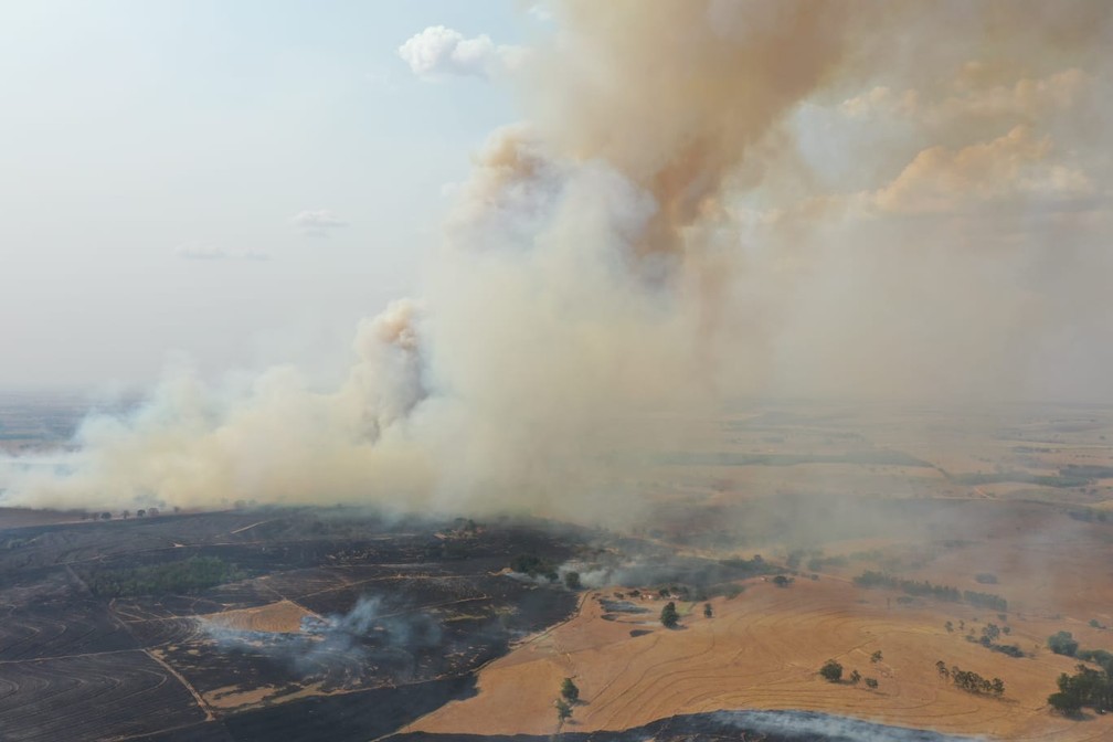 Incêndio em vegetação atingiu 400 mil metros quadrados e formou nuvem gigante de fumaça em Junqueirópolis — Foto: Márcio Cabanhas