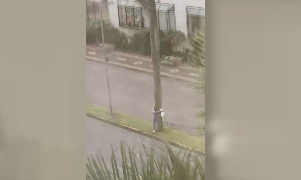 Homem se agarra em árvore para se proteger de ventania em Santos — Foto: Reprodução