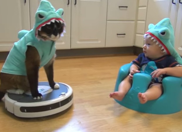 Gato vestido de tubarão diverte bebê (Foto: Reprodução / YouTube)