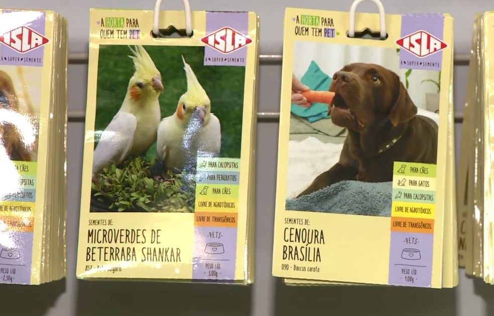 Hortitec, em Holambra, tem novidades para horta dos pets — Foto: Reprodução/EPTV