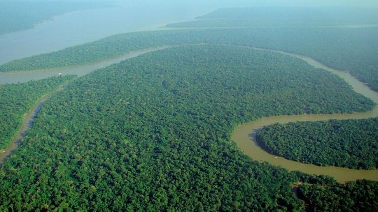 Ventanias mais fortes ameaçam futuro da Amazônia, alerta estudo