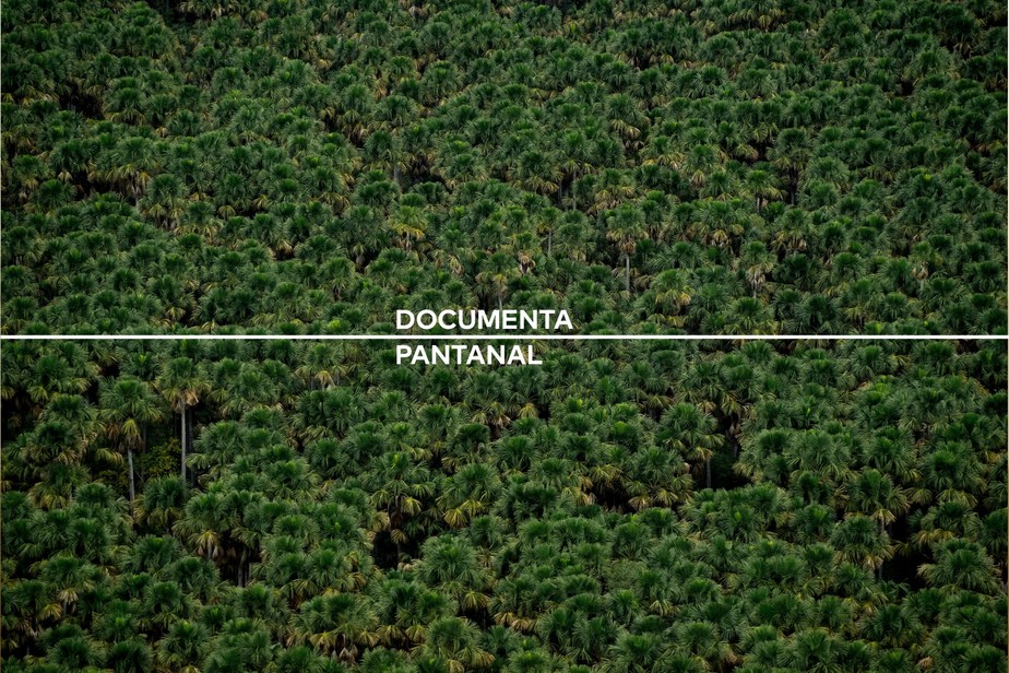 Documenta Pantanal