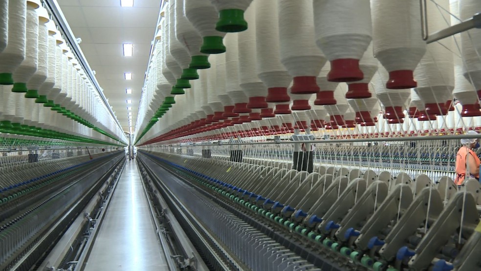 Fabricante de fios de algodão em Americana (SP) sente reflexos com a alta do produto — Foto: Reprodução/EPTV