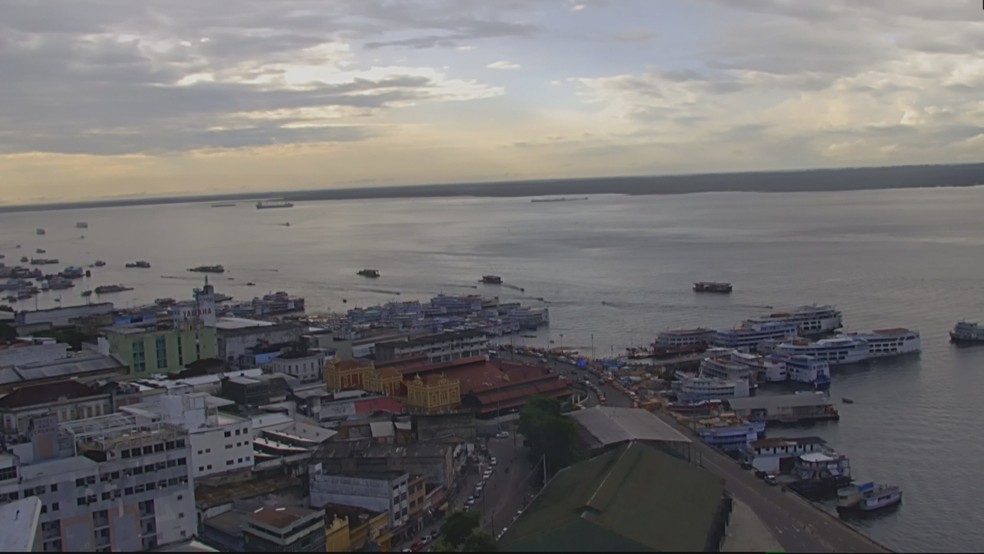 Em Manaus, Rio Negro sobe até 10 cm por dia e alcança ...