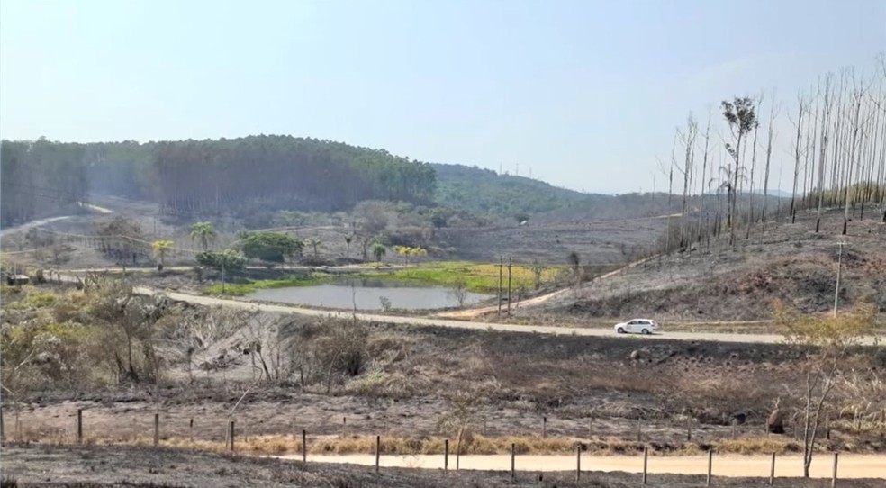 Fogo queima área do Inpe em Cachoeira Paulista — Foto: Divulgação/Corpo de Bombeiros