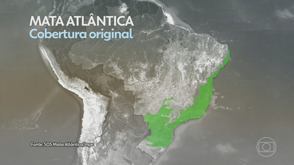 Mapa mostra a cobertura original da Mata Atlântica. — Foto: Reprodução/TV Globo