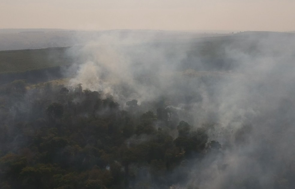 Árvores foram atingidas pela queimada na Estação Ecológica  — Foto: TV TEM/Reprodução