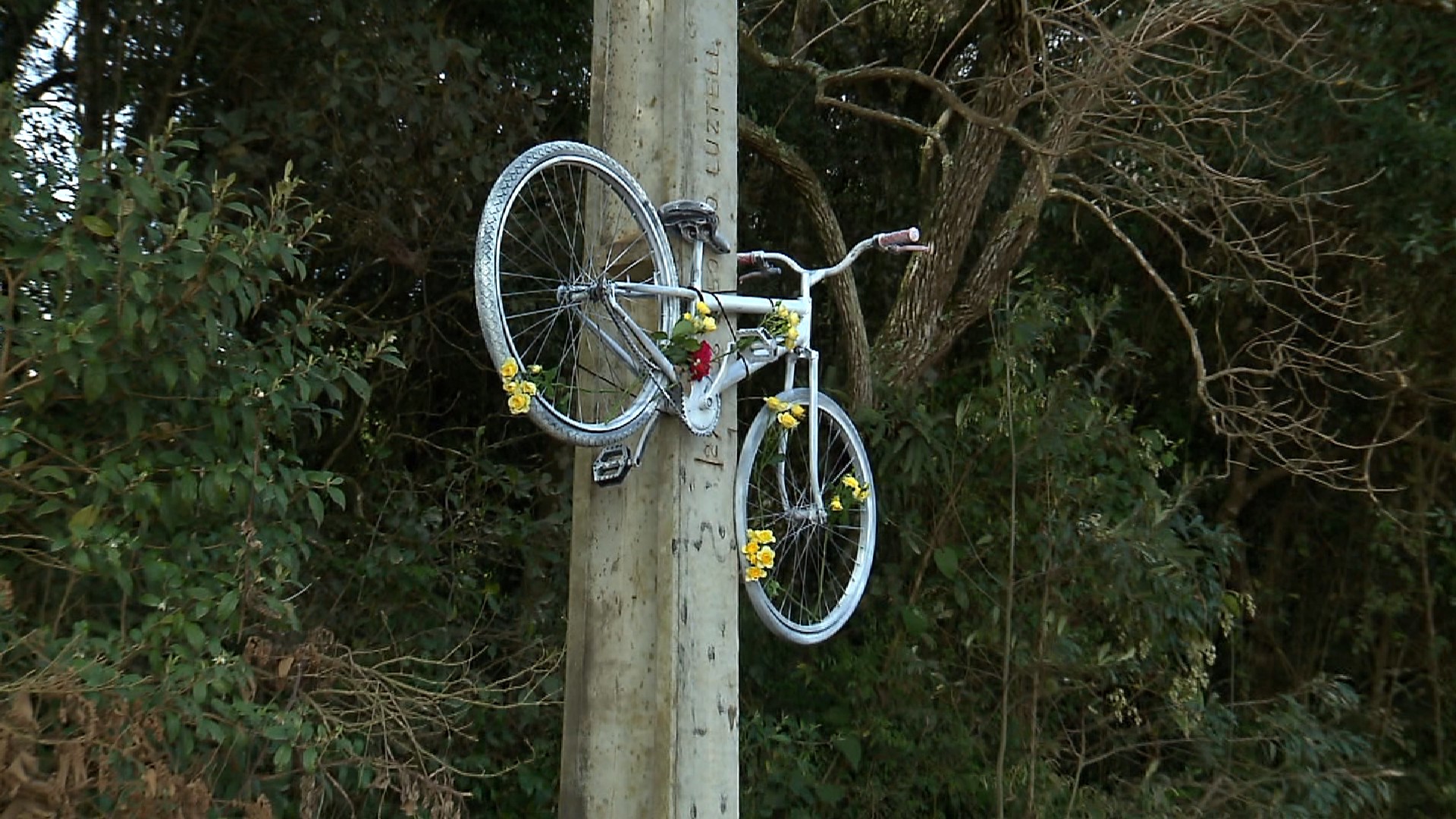 Grupo faz homenagem a ciclista morto por motorista que tinha CNH suspensa: 'Queremos uma resposta'