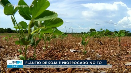 Ministério prorroga período de plantio da soja no Tocantins por causa da seca