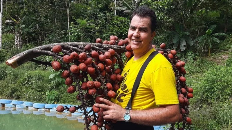 O botânico Valdely Kinupp segura um cacho de buriti, fruto típico da Amazônia e do Cerrado. (Foto: SHARON BARCELOS CARVALHO)