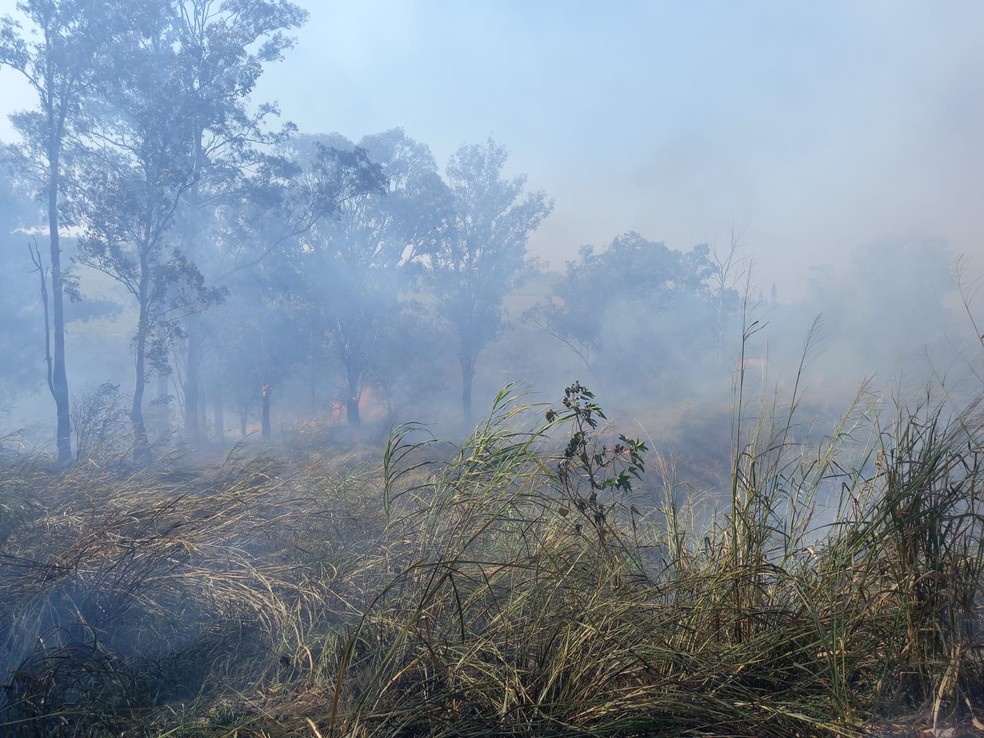 Incêndio atinge área do Horto Florestal de Barra Bonita — Foto: Arquivo pessoal