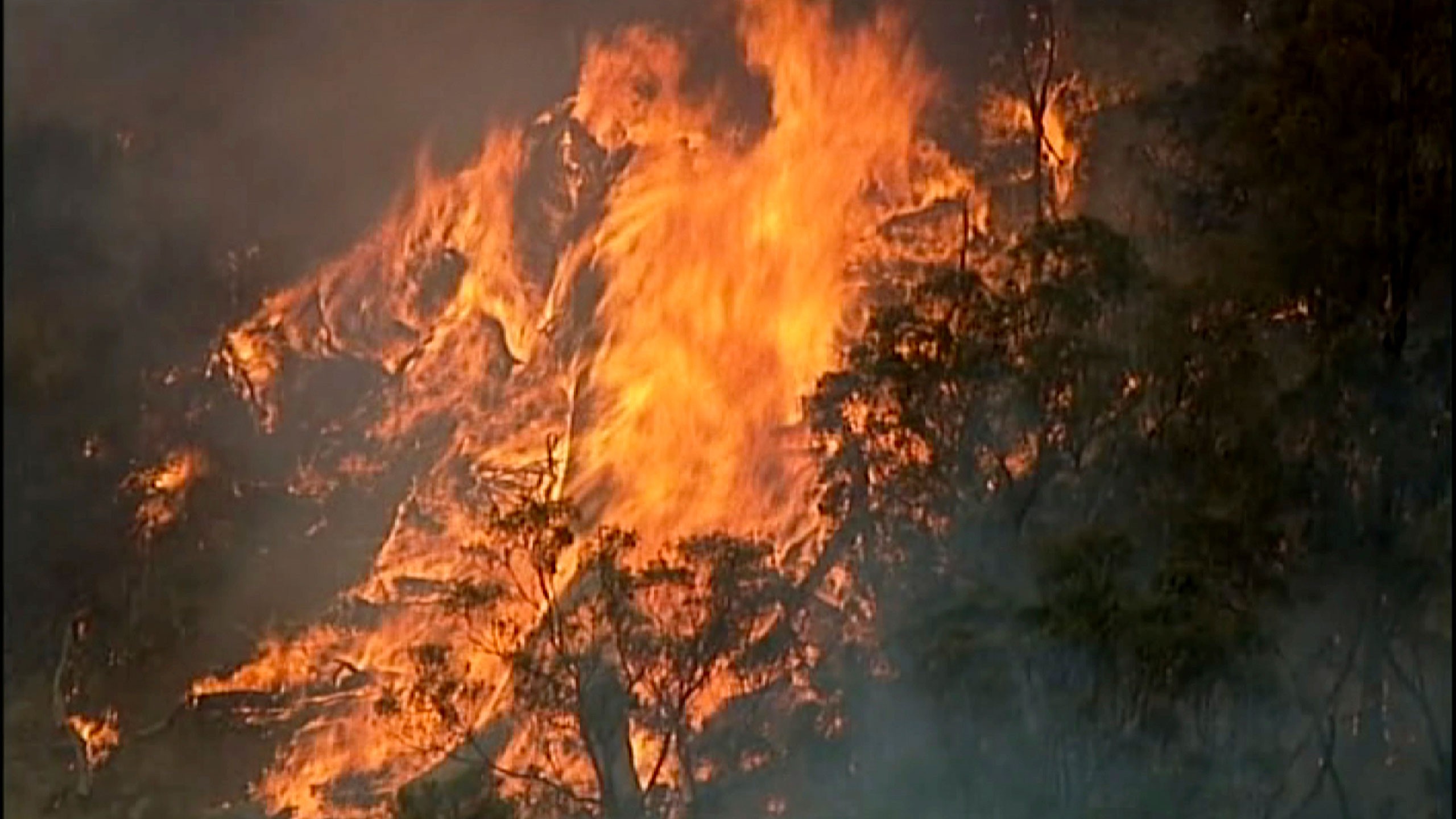 Incêndios florestais de origem natural se espalham pela Austrália; entenda as causas thumbnail