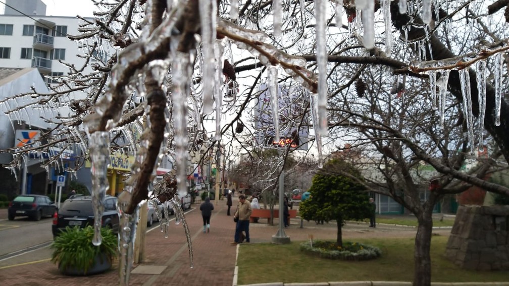 Árvores amanheceram com cristais de gelo nesta manhã em São Joaquim — Foto: Wagner Urbano/ NotiserraSC