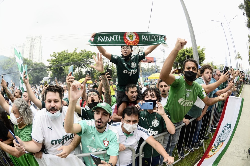 Handlettering  Palmeiras não tem mundial, Pensamentos, Festa de
