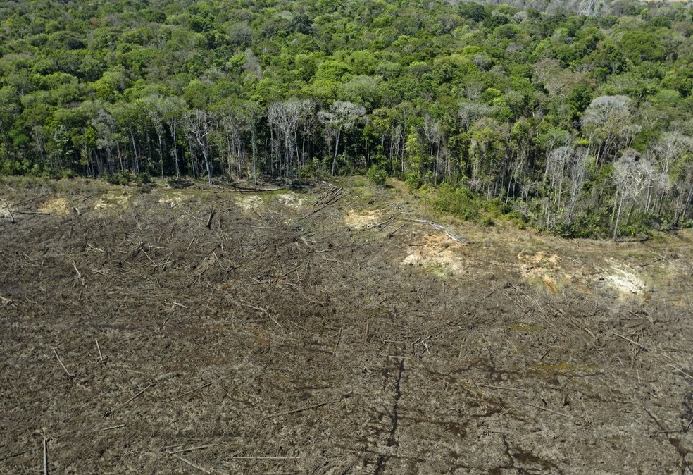 Foto aérea tirada no dia 7 de agosto mostra área deflorestada da Amazônia em Sinop (MT). — Foto: Florian Plaucheur/ AFP