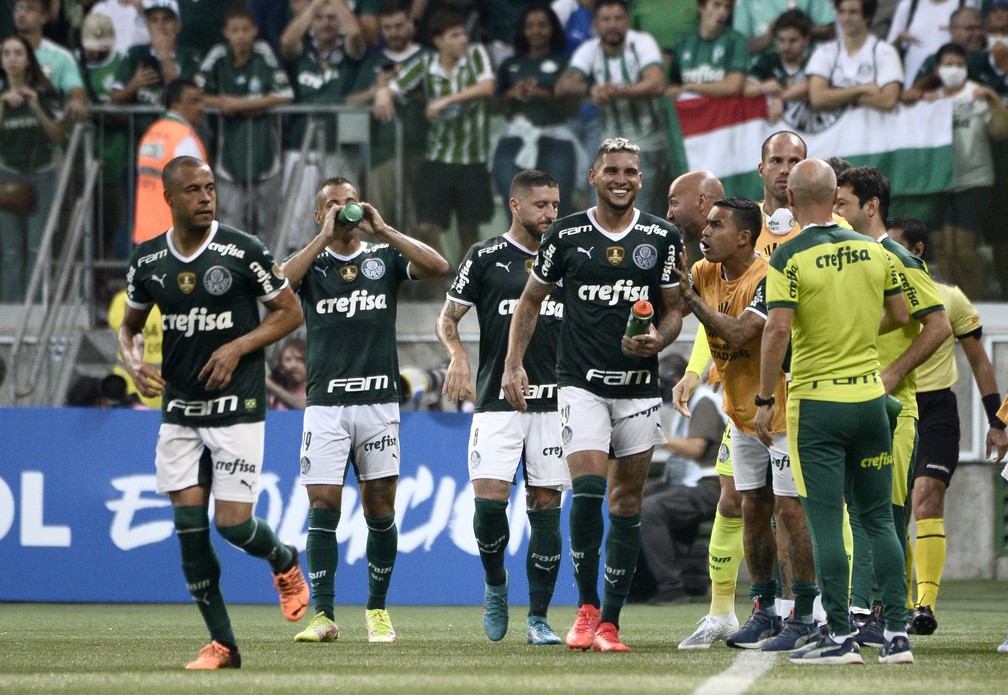 Gol de Rafael Navarro em Palmeiras x Independiente Petrolero — Foto: Marcos Ribolli