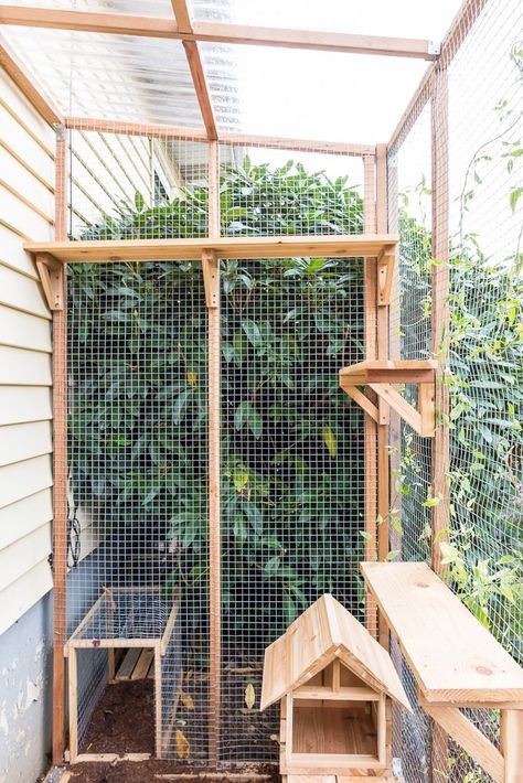 A área externa com rede de proteção para gatos pode ser decorada com prateleiras, plantas e pallets (Foto: Reprodução/Pinterest)