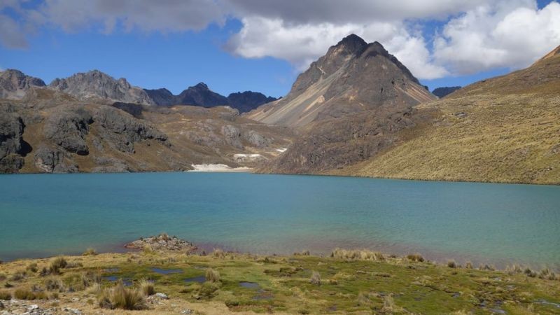 BBC No alto dos Andes, uma área pantanosa chamada 'bofedal' ajuda a reter a água o ano todo e a abastecer vilarejos localizados mais abaixo, incluindo Lima, durante a estação de seca (Foto: ERICA GIES)