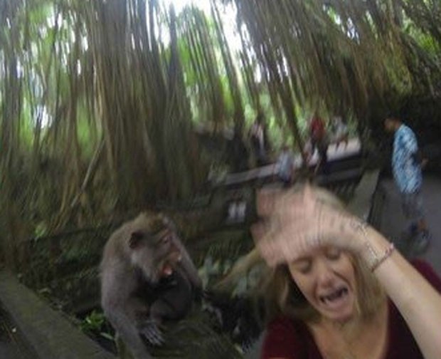 Mujer entró en pánico cuando se dio cuenta que el mono no era amable (Foto: Reproducción / Reddit / ThatGuy1331)