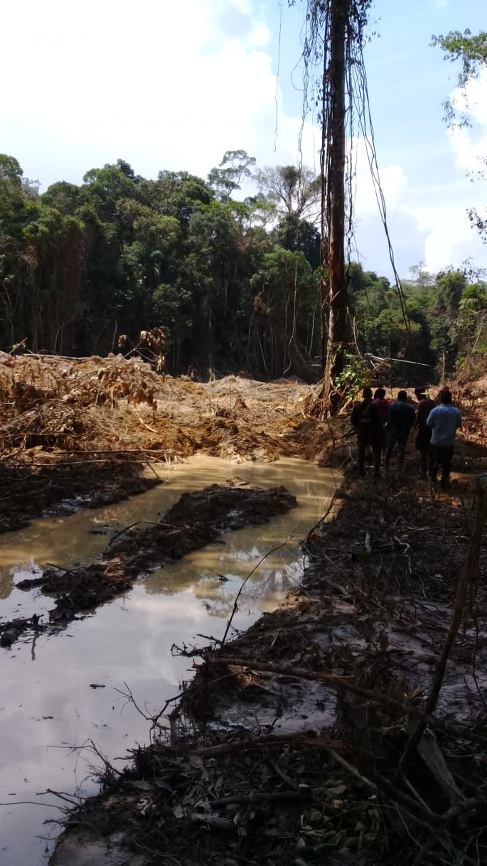 Área desmatada descoberta pela PF em parque nacional — Foto: PF/Divulgação