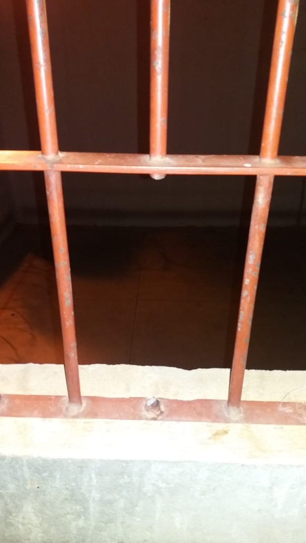 Uma das grades serradas na penitenciária — Foto: Arquivo Pessoal