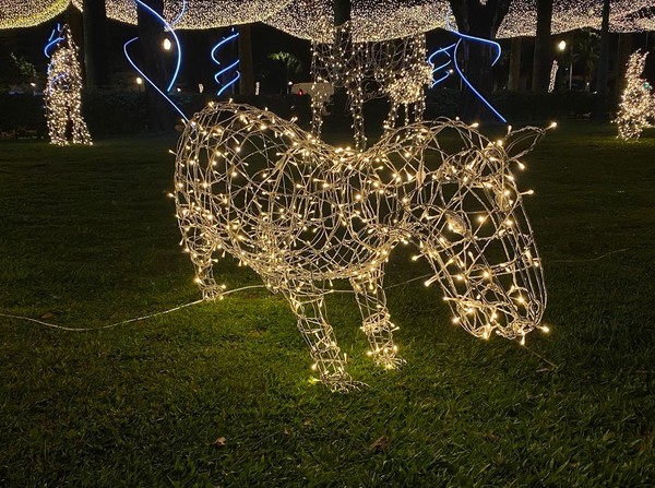 Iluminação de Natal é inaugurada na Praça da Liberdade; FOTOS | Minas  Gerais | G1