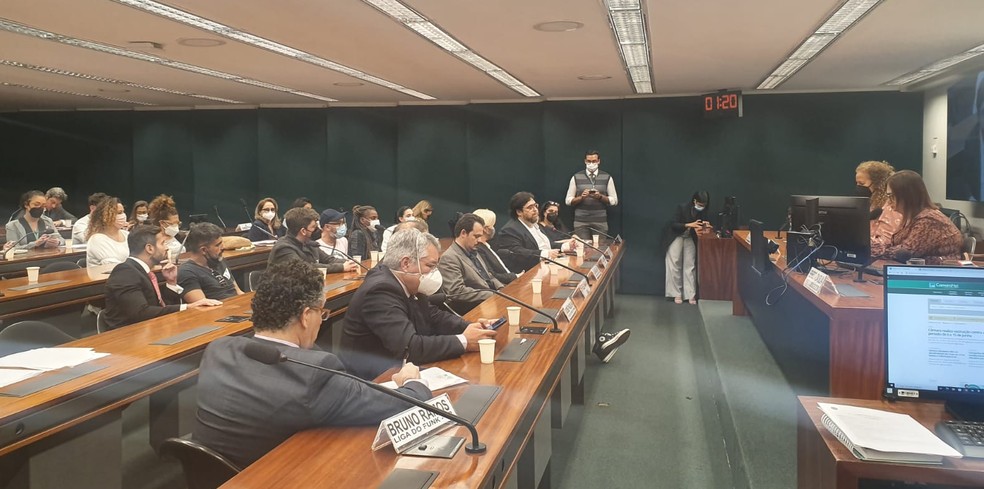 Artistas e produtores defendem em sess&atilde;o de comiss&atilde;o da C&acirc;mara a derrubada de vetos de Bolsonaro &agrave; cultura &mdash; Foto: Marcela Mattos/g1