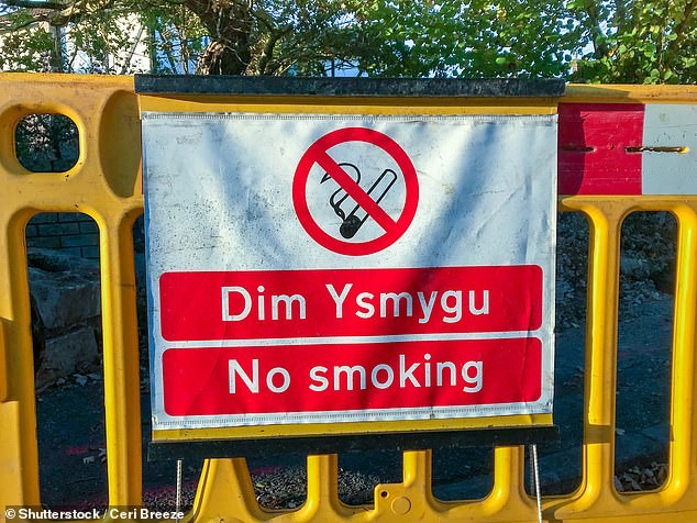 Quem fumar na porta de escolas, hospitais e em playgrounds será multado (Foto: Reprodução/Daily Mail)