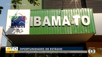 Ibama abre vagas de estágio em Palmas; veja como participar