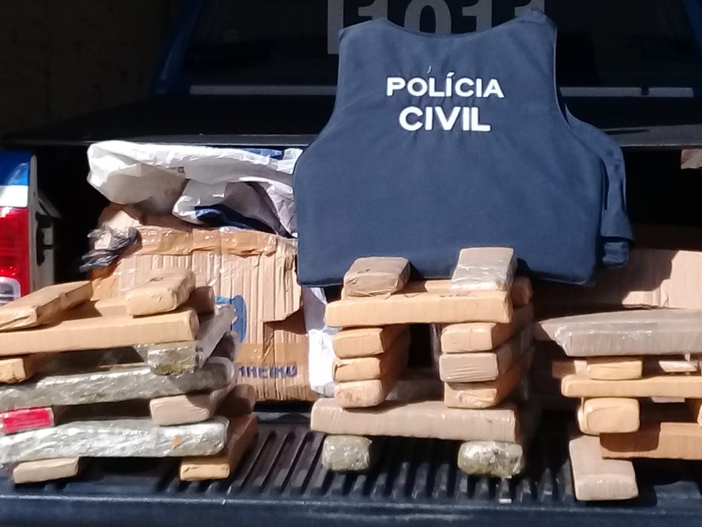 Cerca de 40 kg de maconha são apreendidos em casa no sudoeste da Bahia — Foto: Polícia Civil/Divulgação