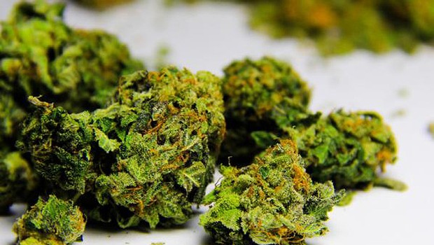 Uruguai deve começar a vender cannabis nas farmácias (Foto: Reprodução/Twitter)