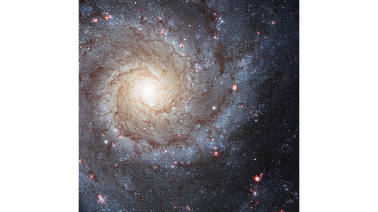 Imagem do Telescópio Hubble da galáxia NGC 628 lançada em 2007 (Foto: NASA/ESA/Hubble Heritage (STScI/AURA)-ESA/Hubble Collaboration )