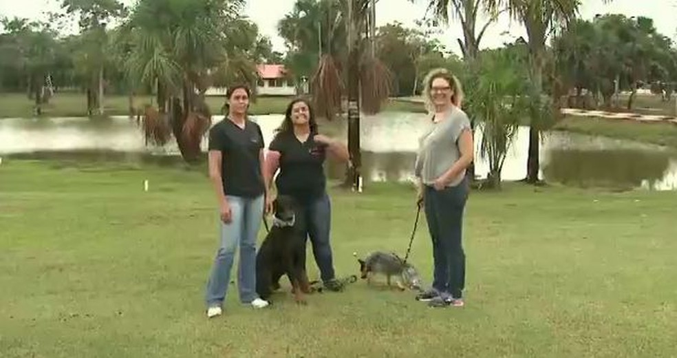 Adestradoras dão dicas de como educar animais em Rio Branco (Foto: Reprodução/Rede Amazônica Acre)
