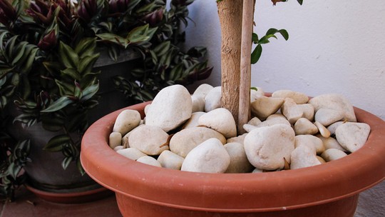 Pedras em vasos: a importância da drenagem no cultivo de plantas