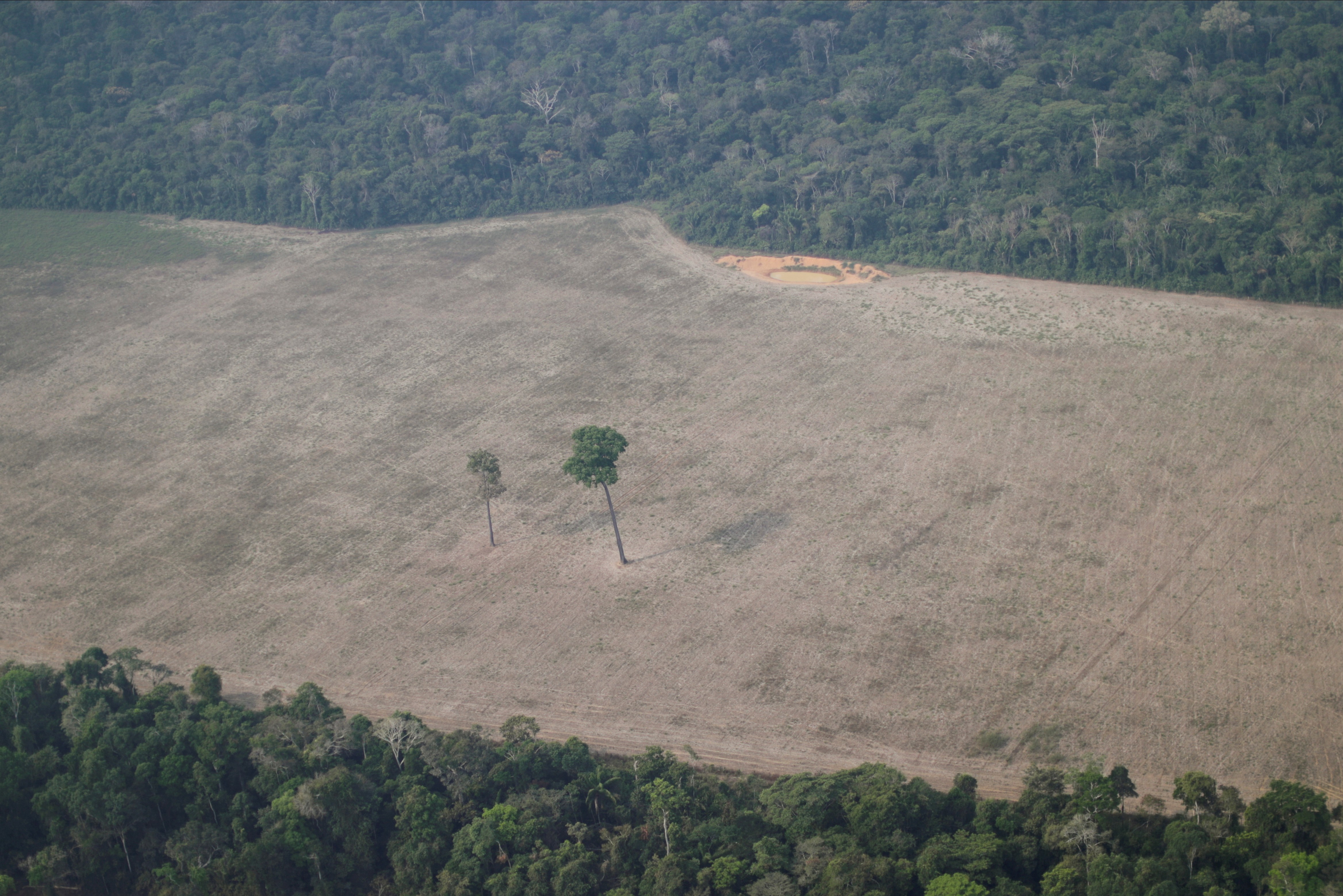 Vista aérea da área desmatada da Floresta Amazônica, em Rondônia (Foto: REUTERS/Ueslei Marcelino)