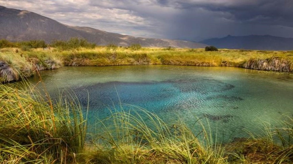 As Piscinas Naturais Que Podem Ter Chave Para Cura Do Planeta Com Biodiversidade Pre Historica Natureza G1