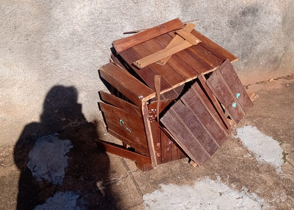 Homem recebe multa de R$ 3 mil por maus-tratos a animal — Foto: Polícia Ambiental 
