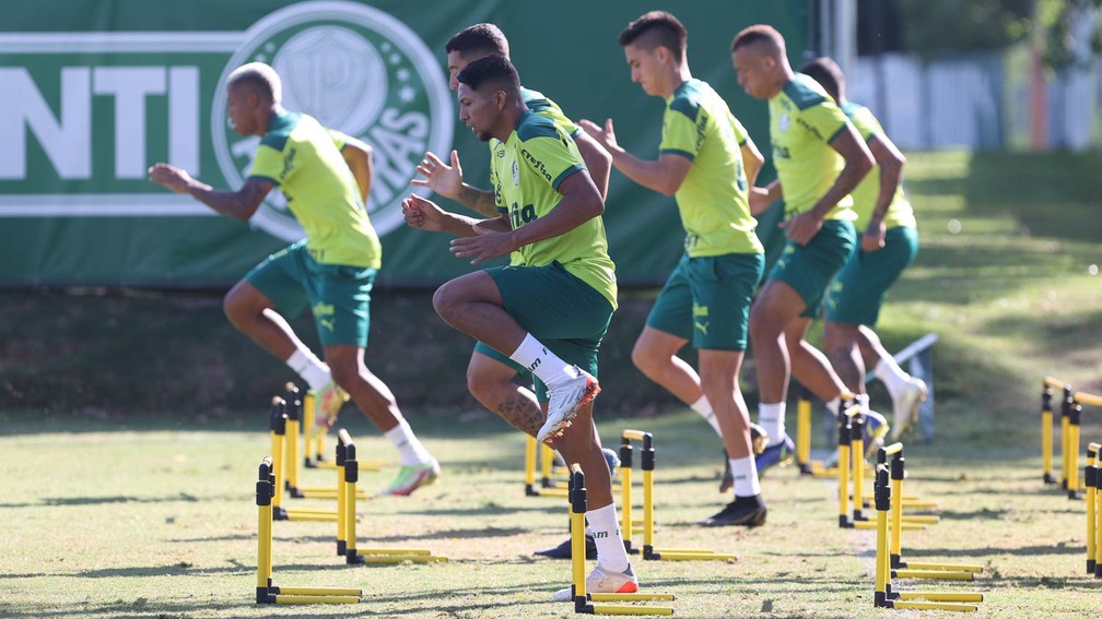 Palmeiras busca os três pontos com time reserva na Libertadores