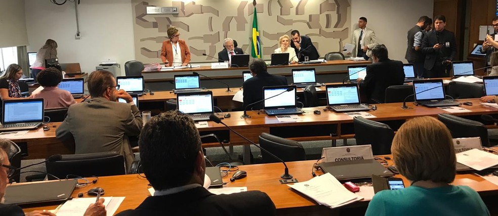 Plenário da Comissão de Assuntos Sociais do Senado durante sessão que aprovou o cultivo de cannabis para fins medicinais  — Foto: Fernanda Calgaro/G1