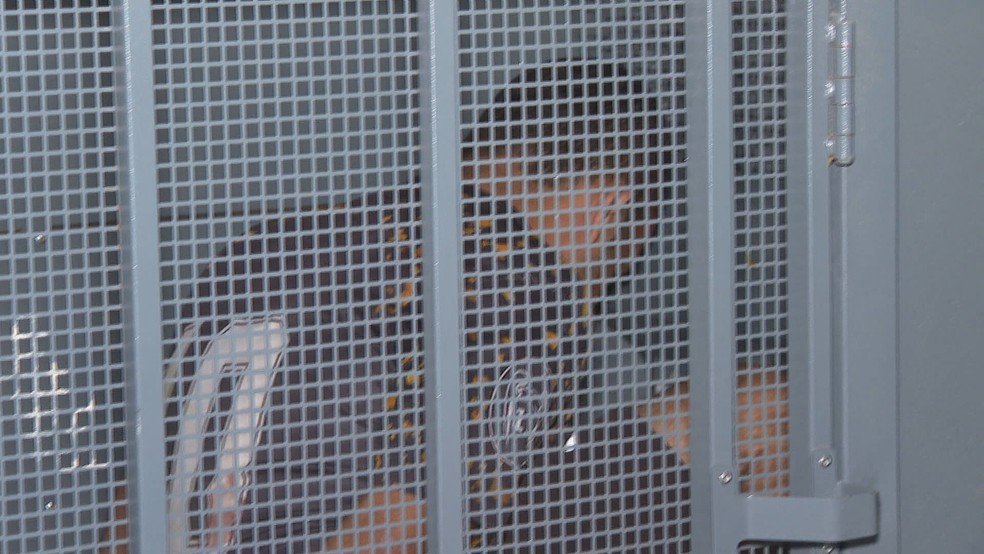 Marcelo Reis confessou o crime &agrave; PM &mdash; Foto: TV Globo