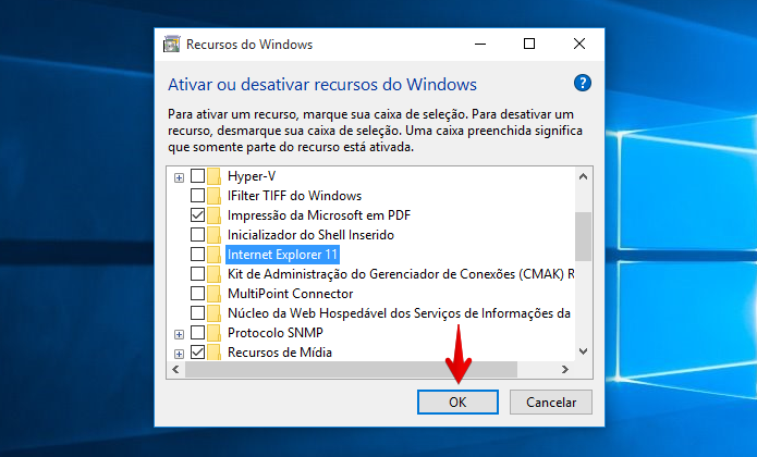 Desinstalando o Internet Explorer do Windows 10 (Foto: Reprodução/Helito Bijora) 