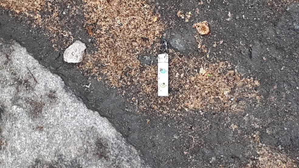 Guimba de cigarro ajuda a polícia a concluir inquérito. — Foto: Reprodução / Tv Globo