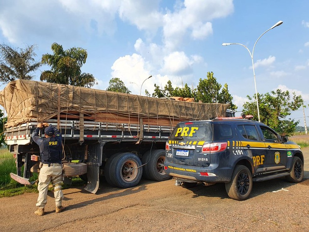 PRF apreende 16,2m³ de madeira serrada, durante fiscalização na BR-230 em Anapu/PA — Foto: PRF/Reprodução 