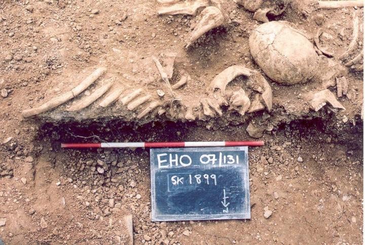 Esqueletos que datam do século 10 encontrados na Inglaterra (Foto: Thames Valley Archaeological Services)