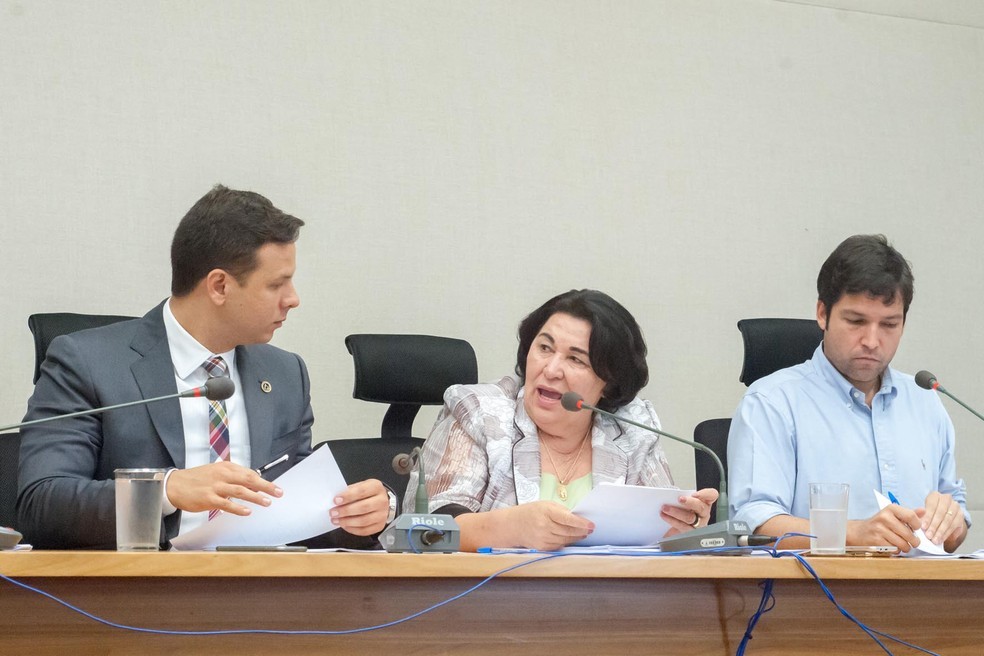No centro da foto, a ex-deputada Luzia de Paula (PSB) — Foto: Câmara Legislativa/Divulgação