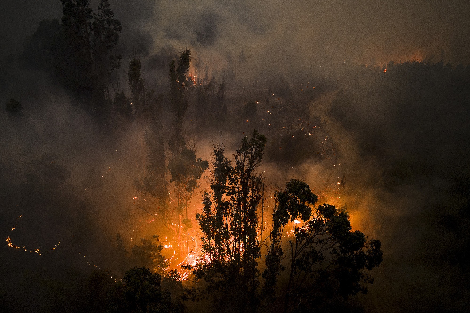 Incêndios florestais no Chile deixam mais de 20 mortos 