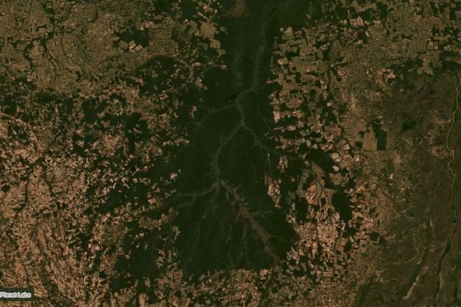 Porção sul da bacia do Xingu, em Mato Grosso, em imagem de satélite de junho; região serve como corredor ecológico e barreira para o avanço do agronegócio na Amazônia (Foto: PLANET LABS via BBA )