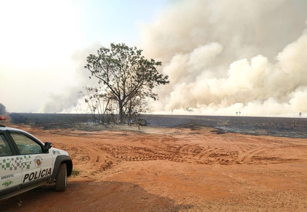Usina sucroalcooleira foi multada em mais de R$ 1,1 milhão por uso de fogo em vegetação nativa e árvores — Foto: Polícia Ambiental