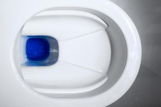 Design de vaso sanitário permite que a urina se transforme em fertilizante (Foto: Divulgação)