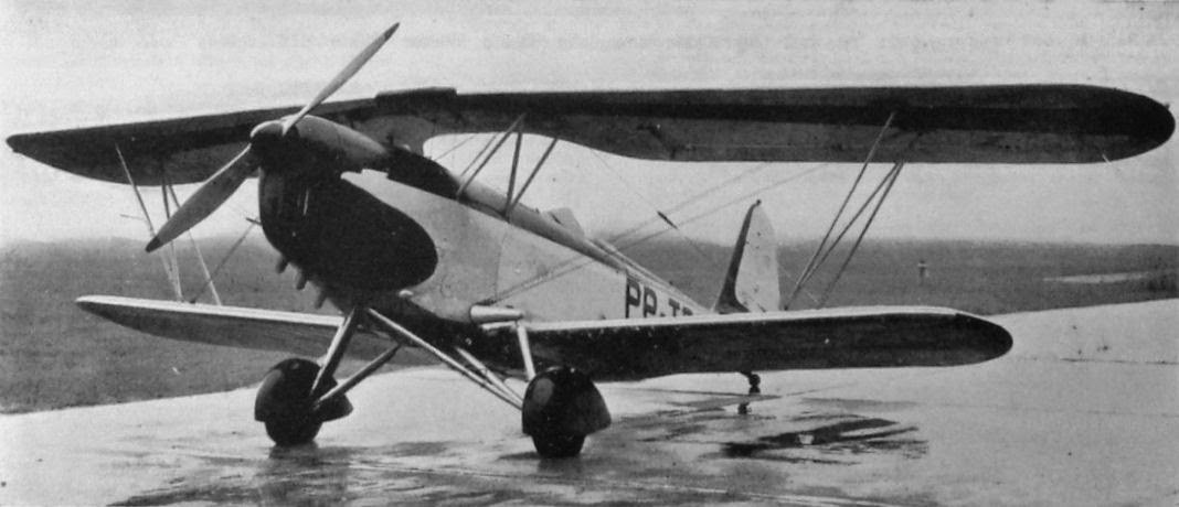 Muniz M9 foi o modelo utilizado no primeiro voo de pulverização agrícola no Brasil (Foto: Divulgação/Sindag)